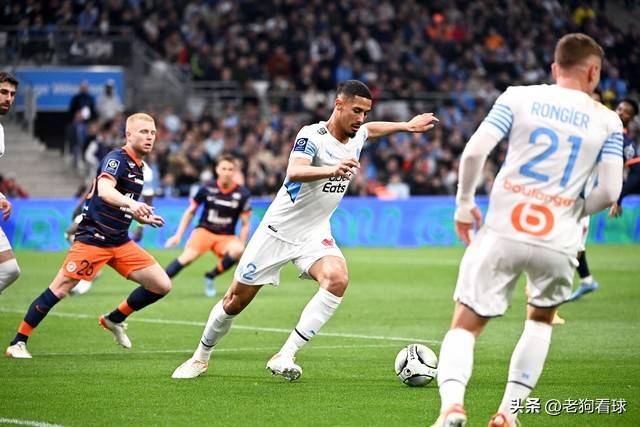  一鸽胜九鸡的真正原因 